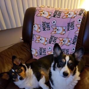 Meet your Posher, Rene